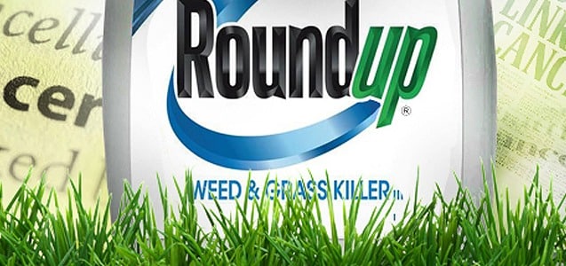 Daubert Order for Roundup Litigation